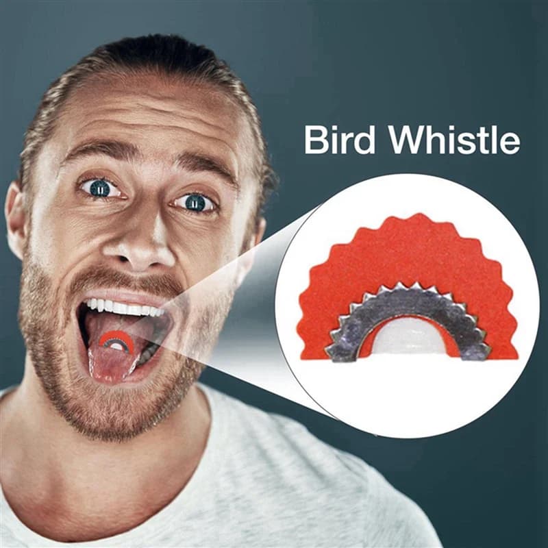 Lot 15 sifflets oiseaux créatifs, appeaux magiques produisant des sons aigus variés