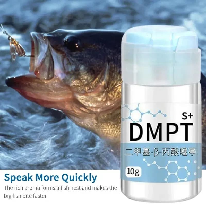 Gel attractant DMPT nouvelle formule pour carpe cruciane appât soluble irrésistible senteur