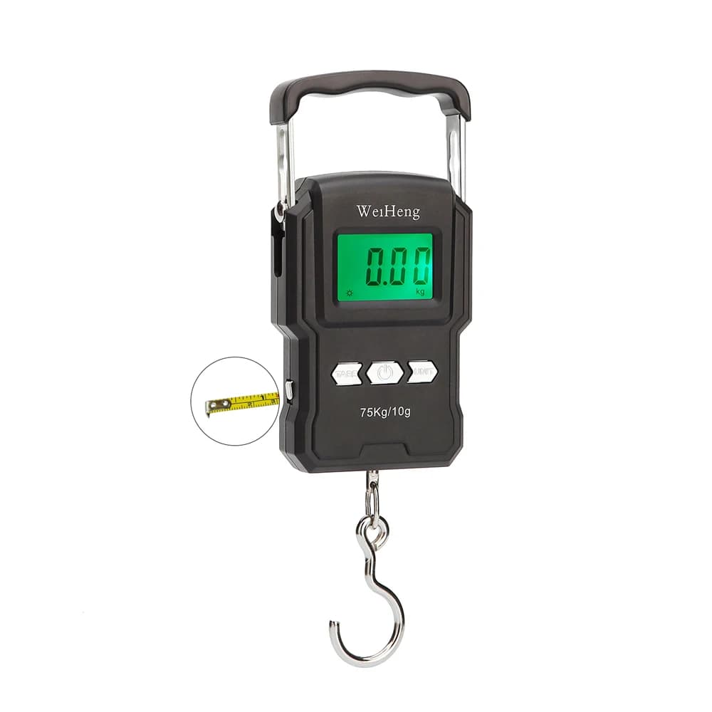 Balance digitale portable 50kg/5g double précision avec rétroéclairage pour pêche - Pèse-électronique haute précision