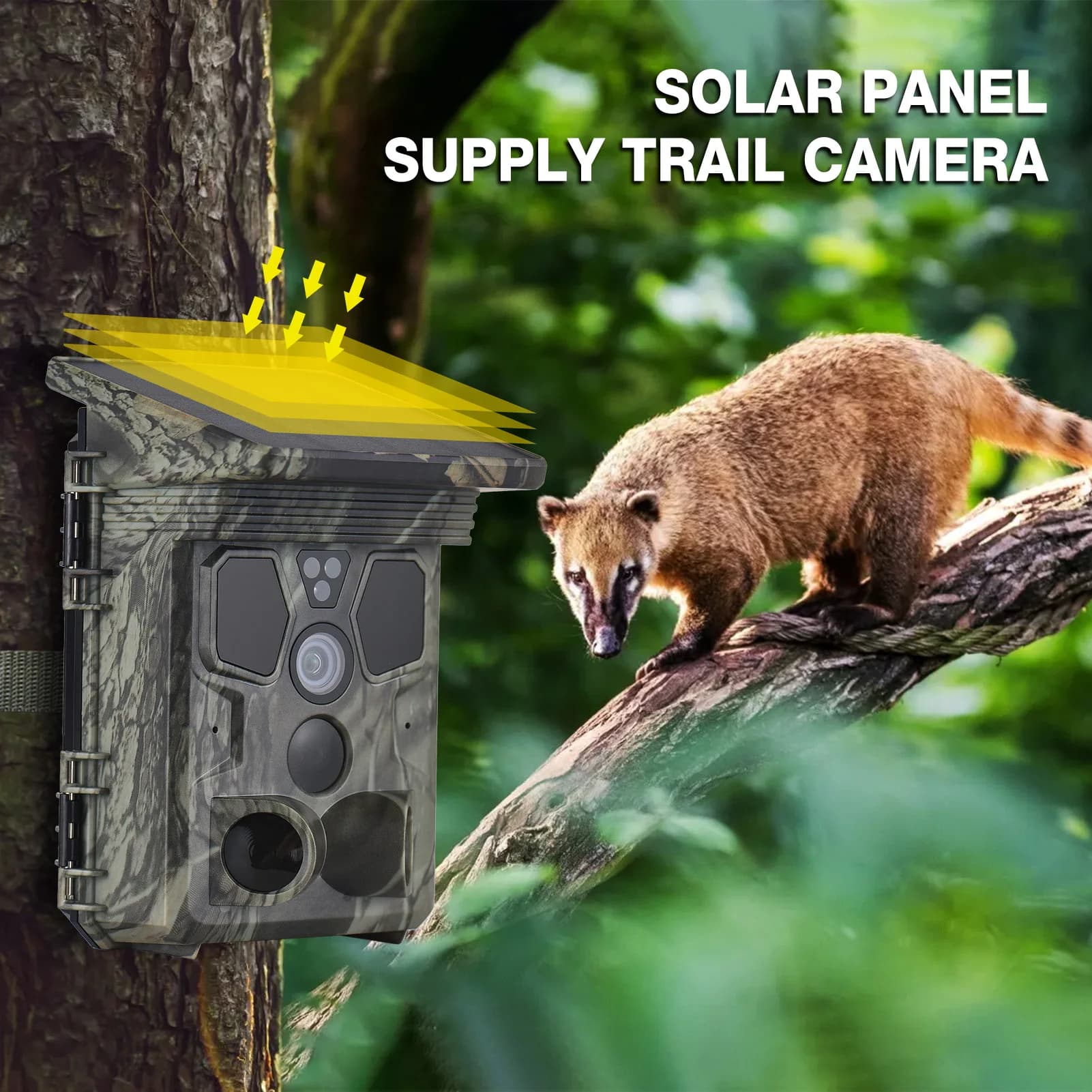 Caméra de chasse 4K 50MP solaire avec angle de détection 120° - Surveillance IP65 étanche