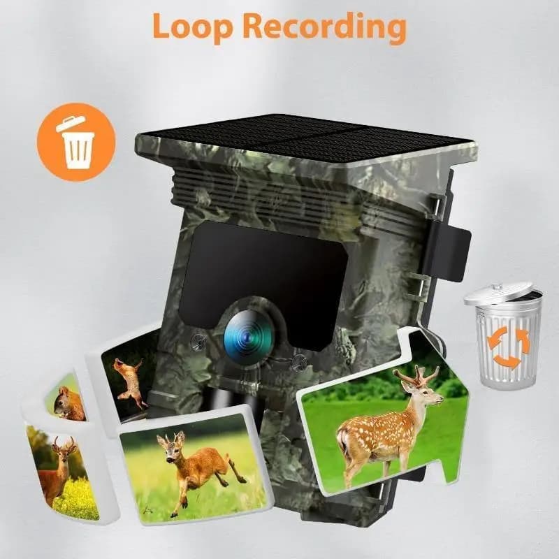 Caméra de chasse étanche 30MP 2K avec panneau solaire vision nocturne infrarouge pour suivi faune sauvage