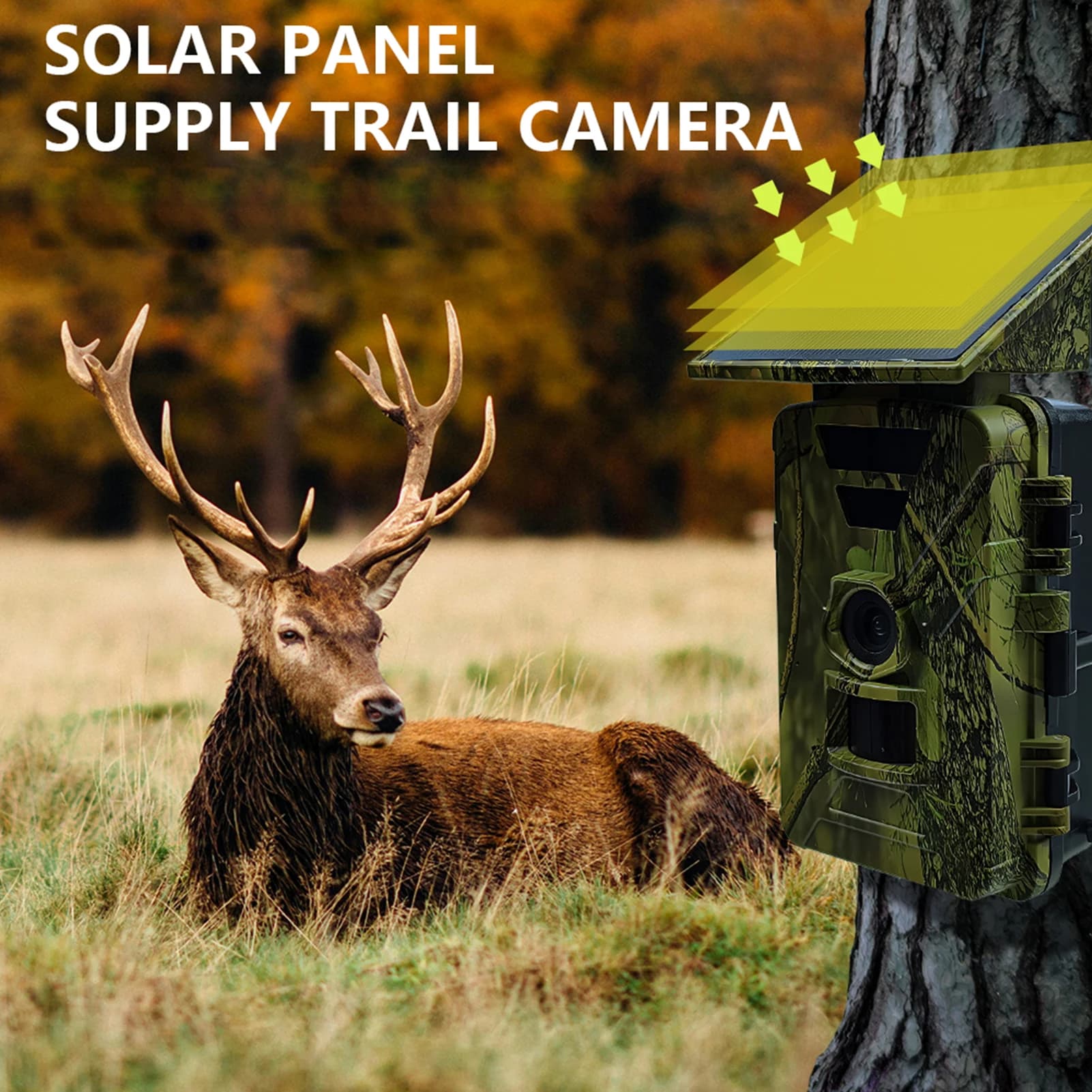 Caméra de chasse WiFi solaire 8K 60MP étanche IP66 - Vision nocturne pour traque gibier connectée extérieure