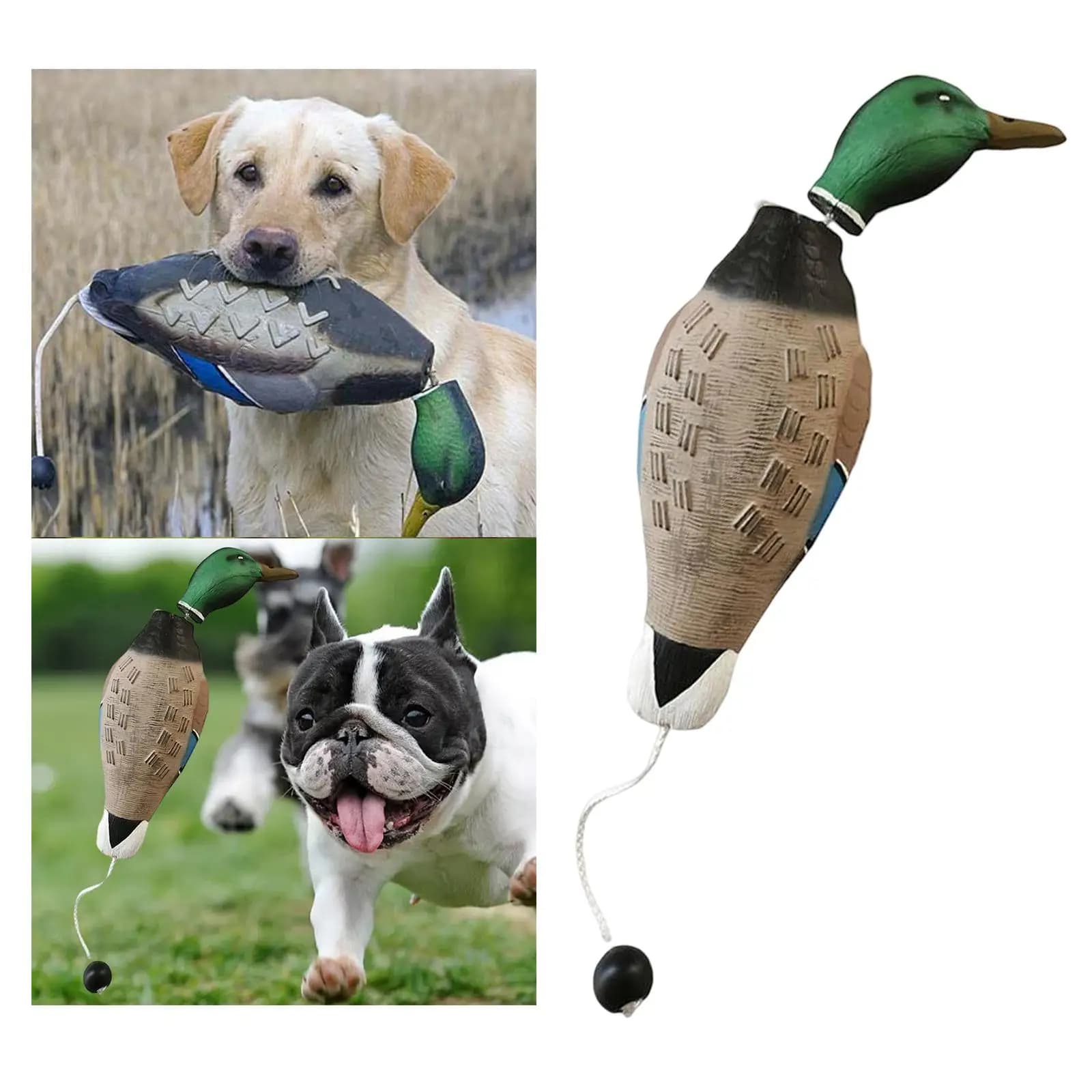 Leurre canard colvert 3D simulation réaliste pour pêche entraînement chien décoration