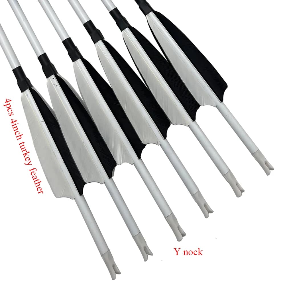 6 flèches carbone 30/32 pouces pointes interchangeables pour pêche à l'arc compound/récursif