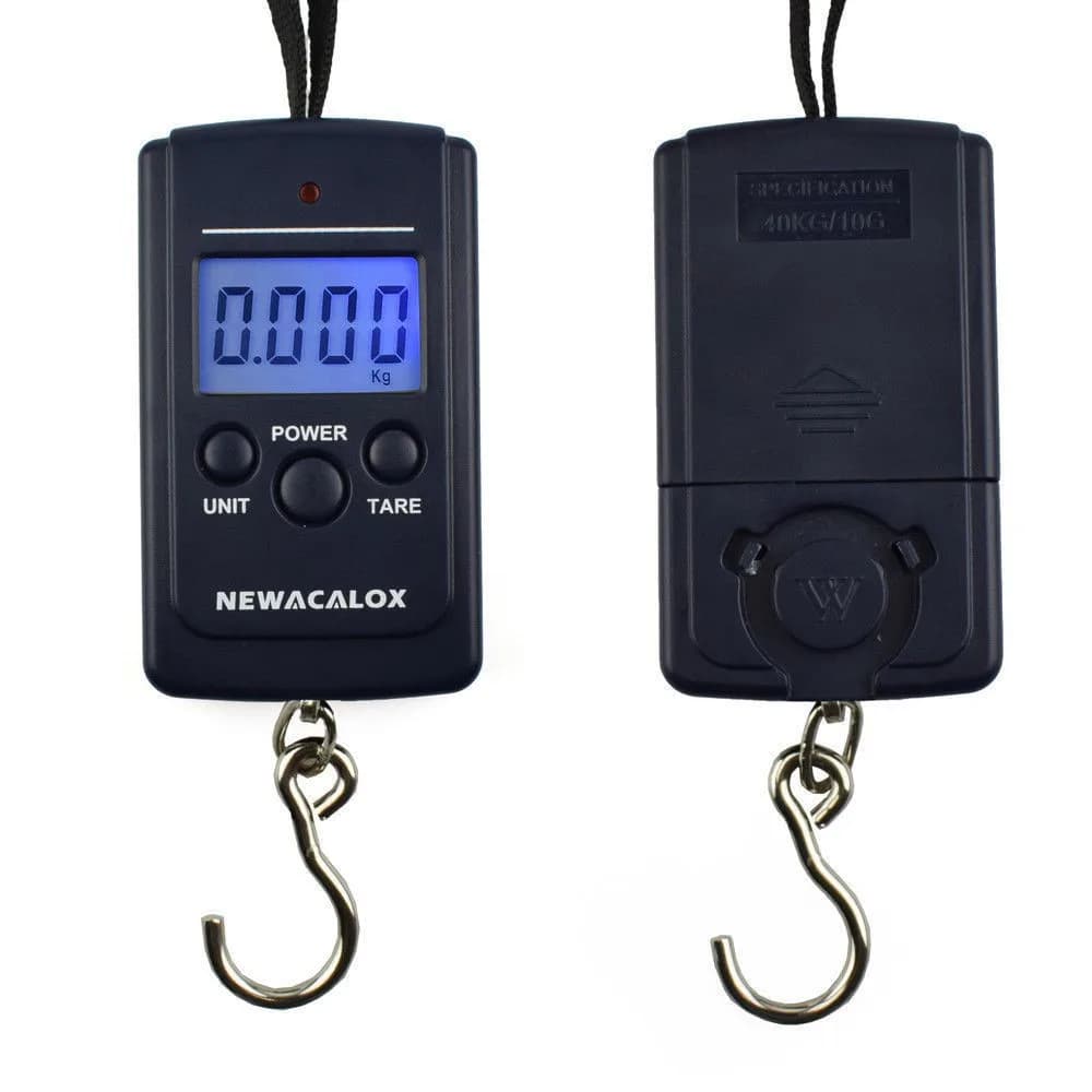 Balance digitale de pêche mini 40kg précision 10g pour peser poissons bagages cuisine crochet électronique