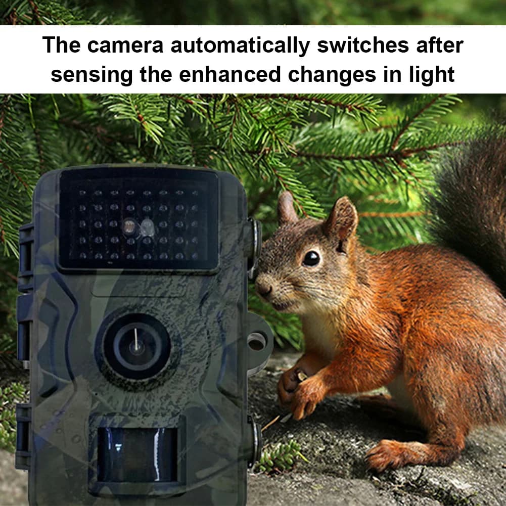 Caméra de piste de chasse à détection de mouvement avec vision nocturne infrarouge pour observation animale