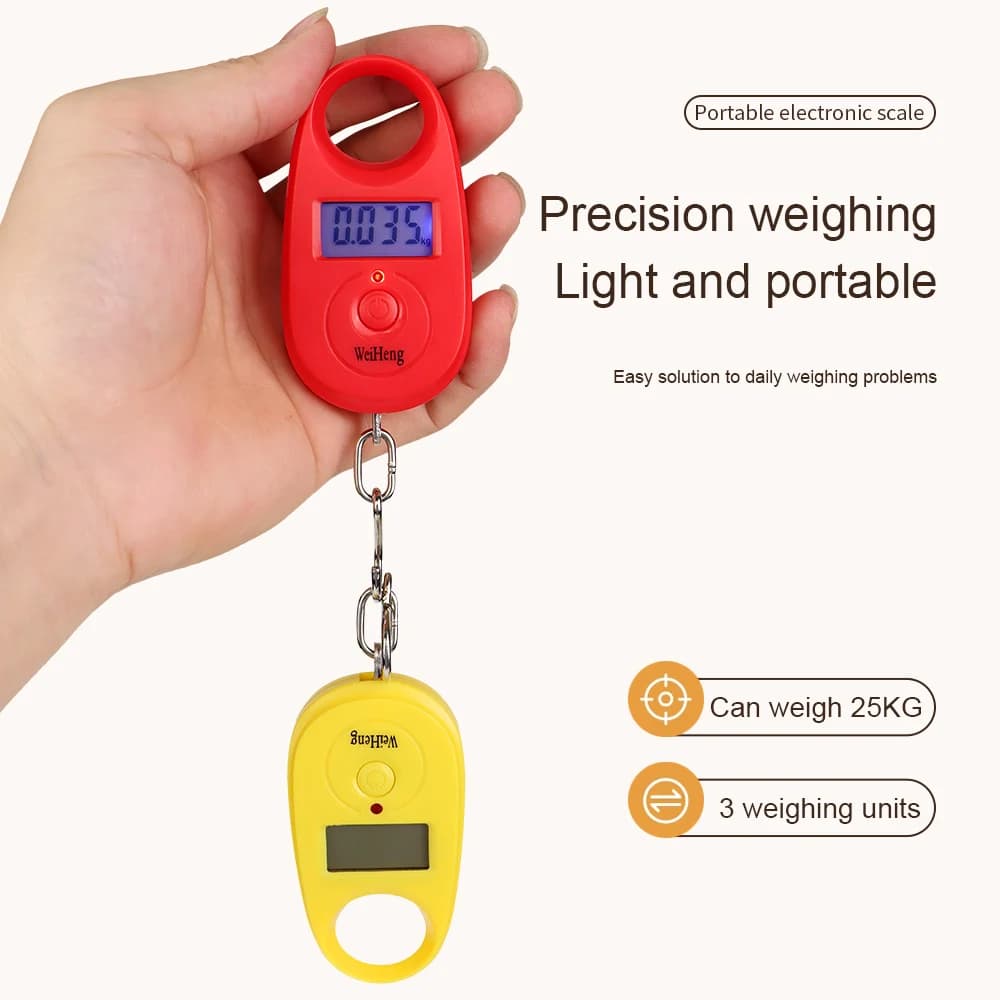 Balance numérique pêche 25Kg 5g - Pèse-bagages électronique compact avec crochet pour peser poissons