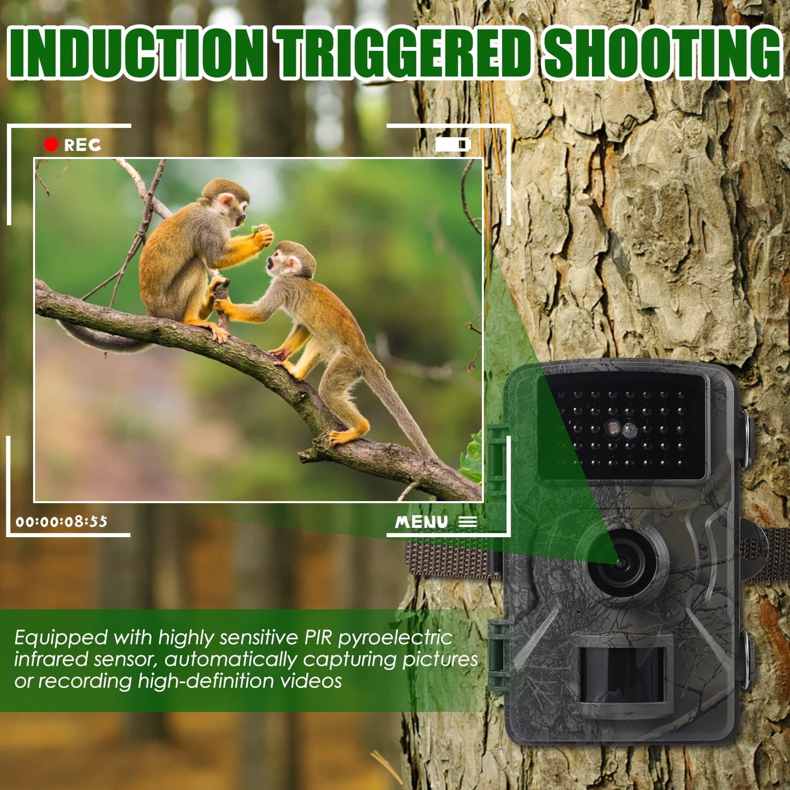 Mini caméra de chasse infrarouge IP66 étanche avec suivi de mouvement - Piège photo compact