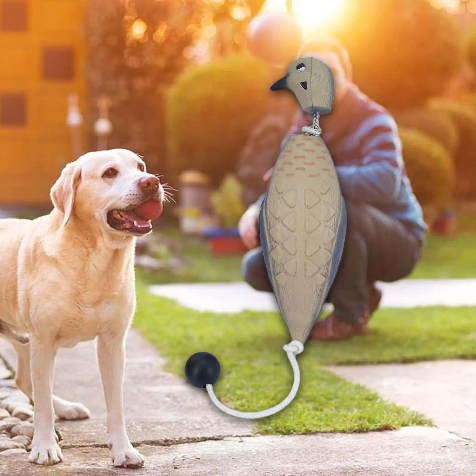 Leurre colombe faux oiseau jouet chien - Décoration réaliste étang et entraînement canin durable jardin