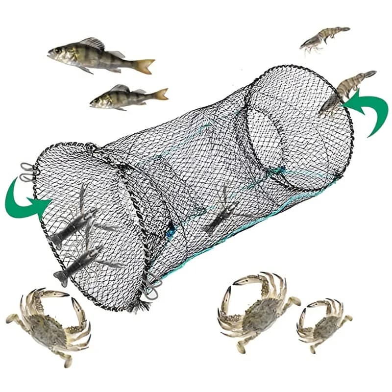 Piège à poissons pliable et portable pour écrevisses, crabes et crevettes, filet de pêche télescopique