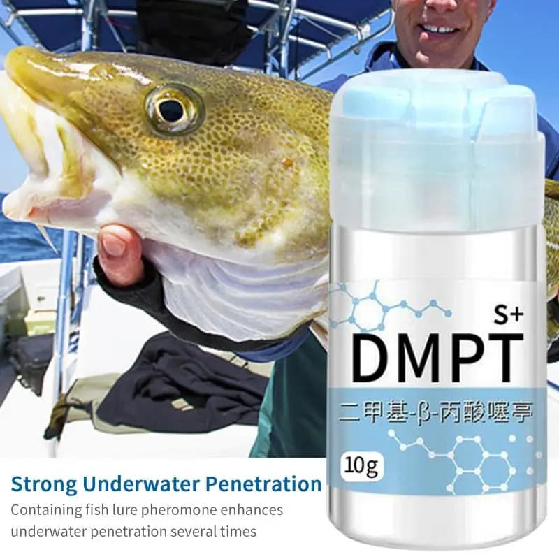 Appât DMPT gel attractif irrésistible soluble pour carpe cruciane poudre additif leurre pêche