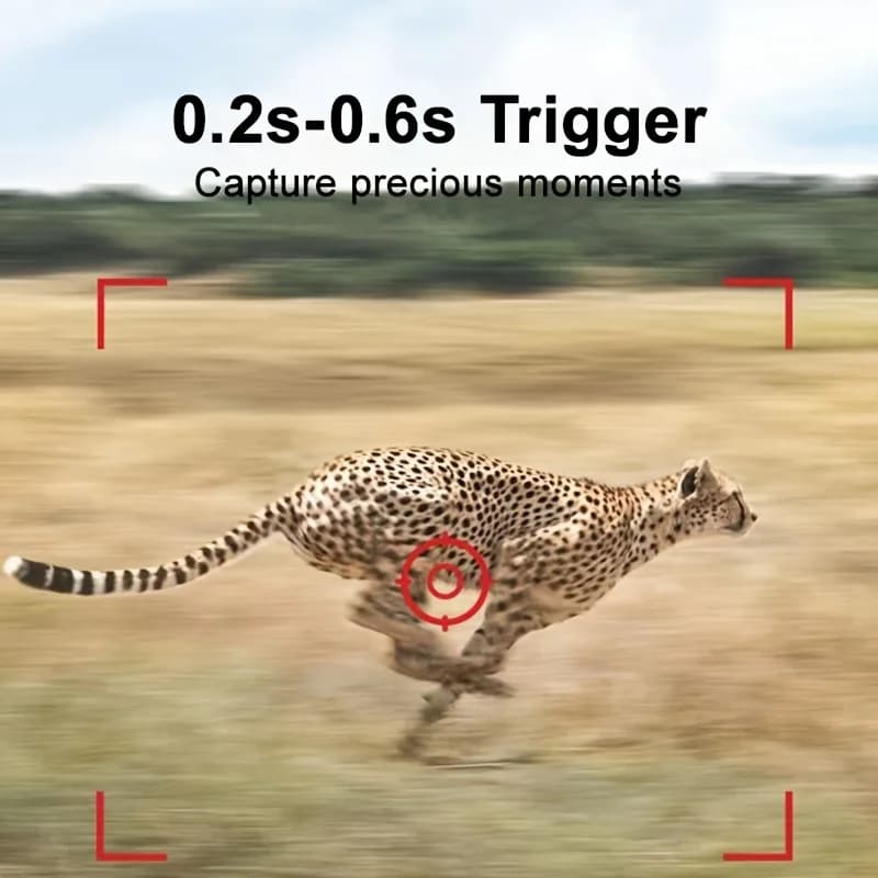 Caméra de chasse 720P vision nocturne IR étanche pour observation faune et cerfs - détection mouvement