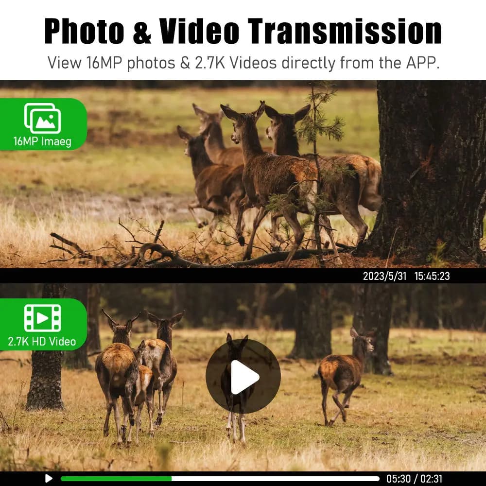 Caméra de chasse 4G LTE étanche solaire 4MP avec application Ucon pour surveillance faunique à distance