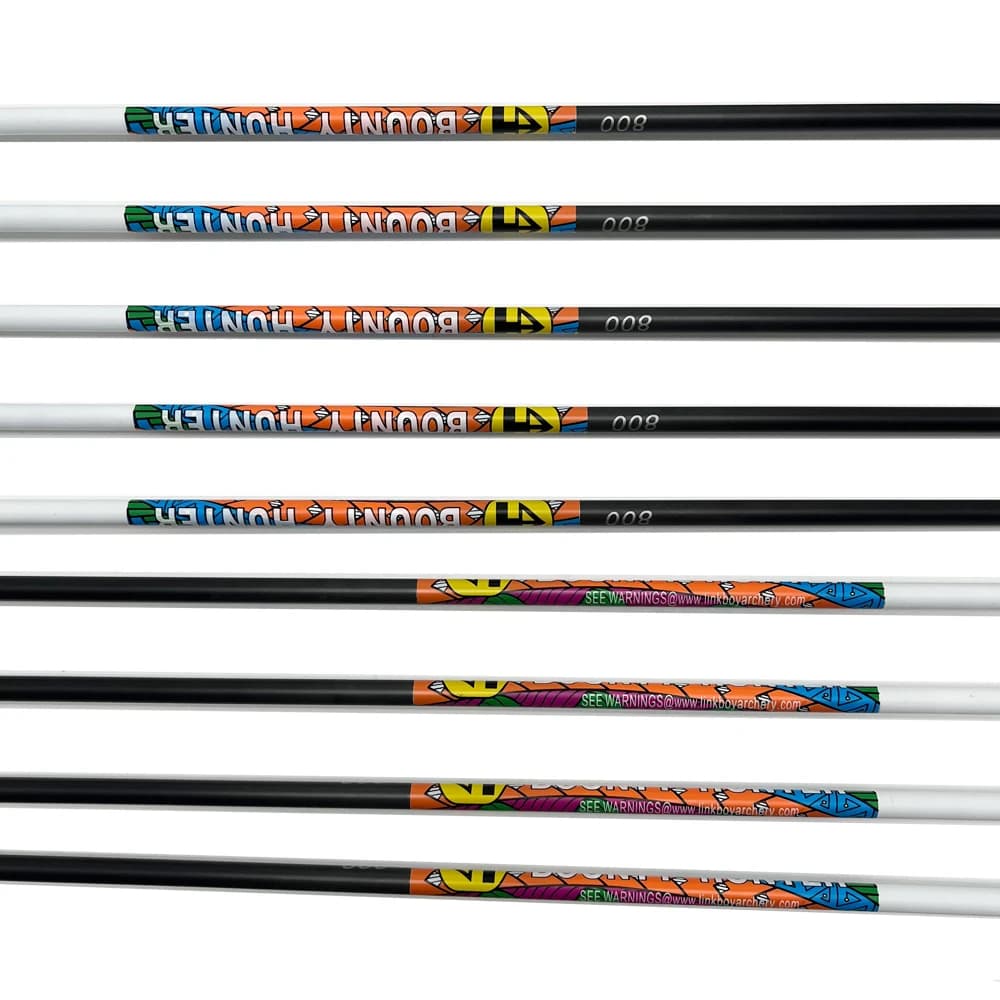 6 flèches carbone 30/32 pouces pointes interchangeables pour pêche à l'arc compound/récursif