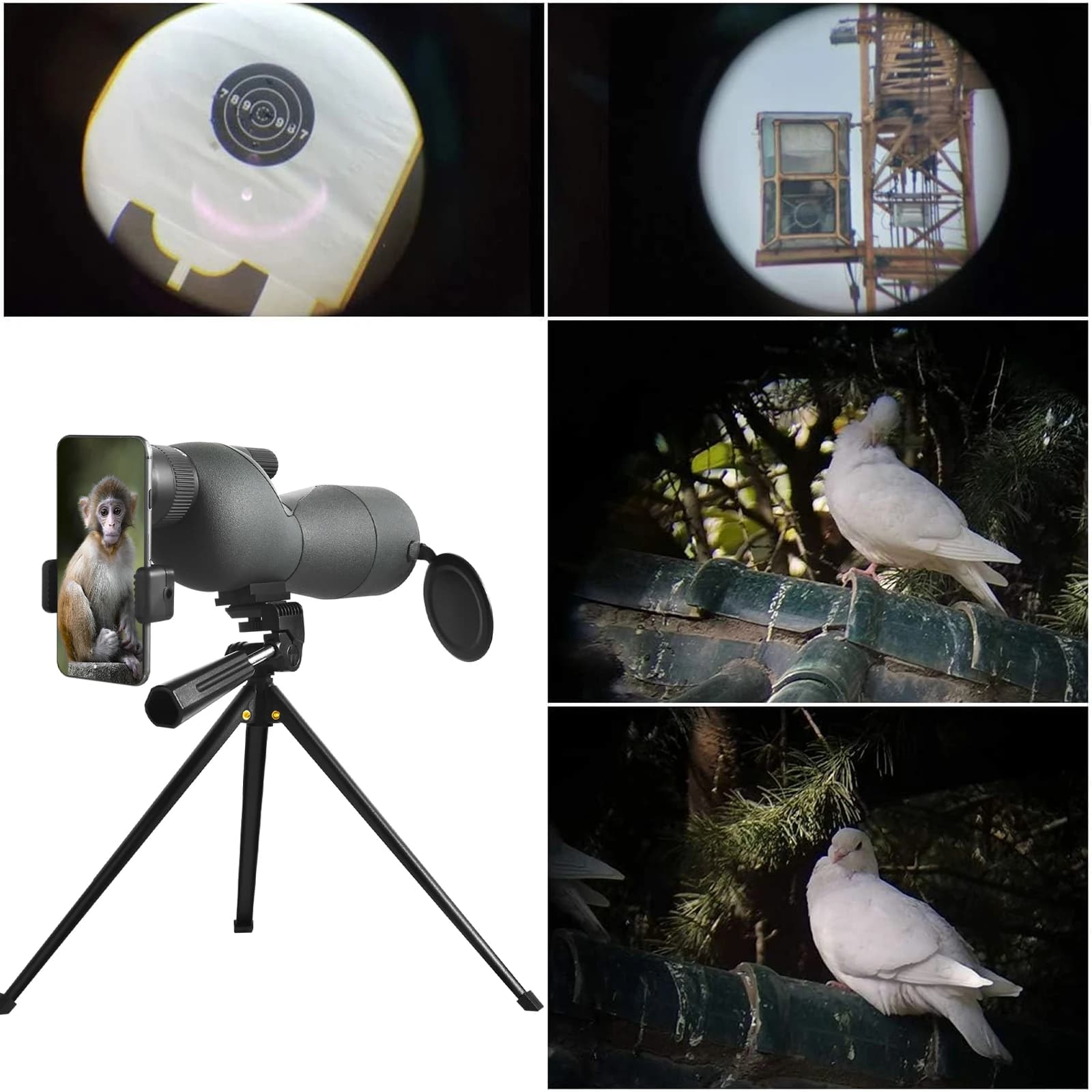 Longue-vue spotting scope 25-75x60 zoom puissant étanche observation oiseaux tir cible avec trépied