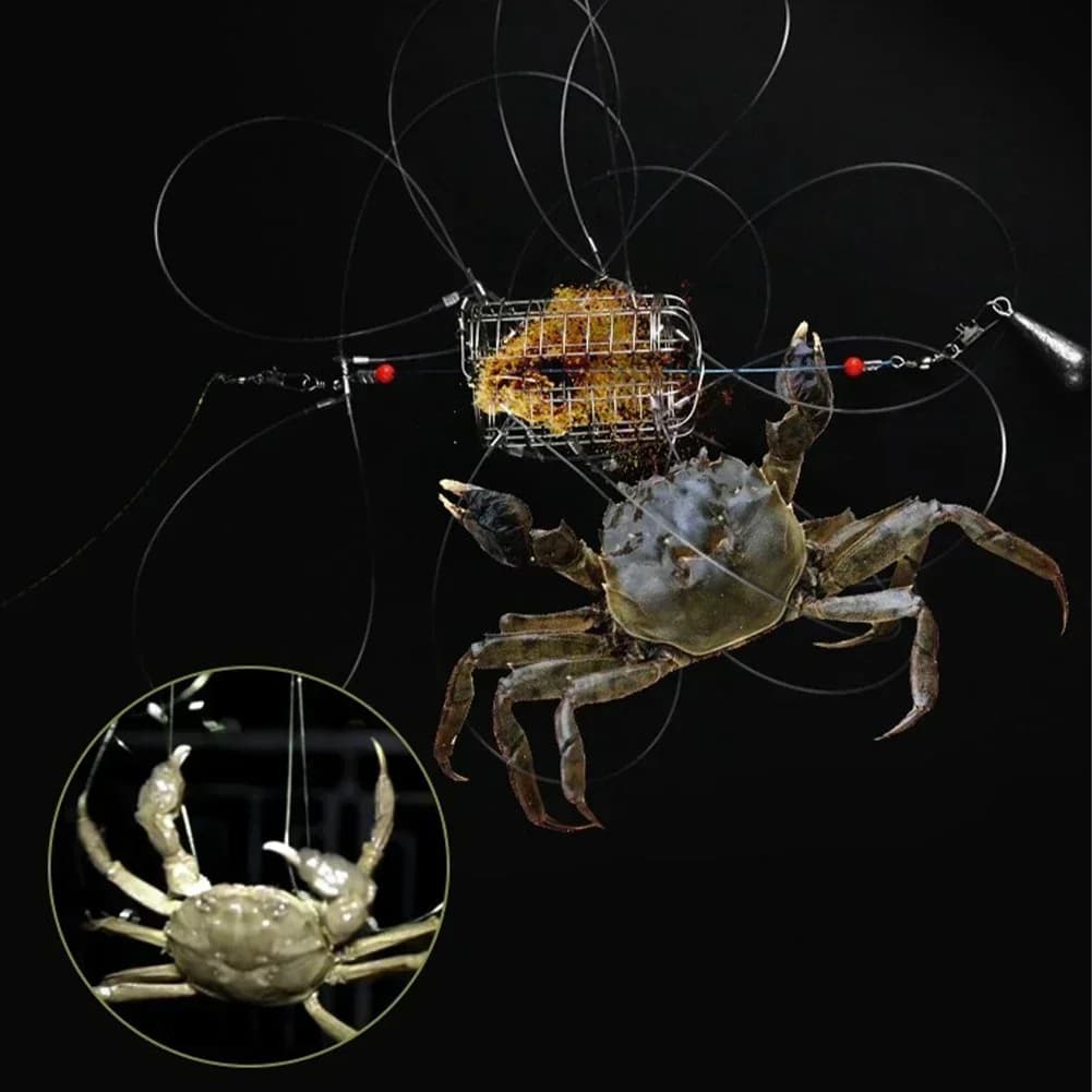 Piège à crabes en acier inoxydable avec appât pour capturer crabes crevettes et écrevisses