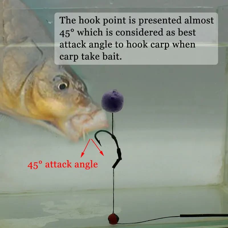 Kit 6 montages carp prêts à pêcher tailles 2 à 8 pour débutants pêche étang et lac