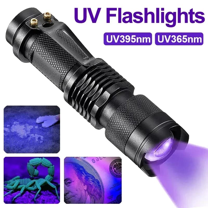 Lampe torche UV portable 365/395nm détecteur urines animaux pour chasse pêche et inspection
