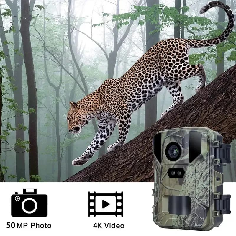 Caméra trail MiNi800 2.7K 50MP étanche IP65 vision nocturne pour repérage et chasse du gibier