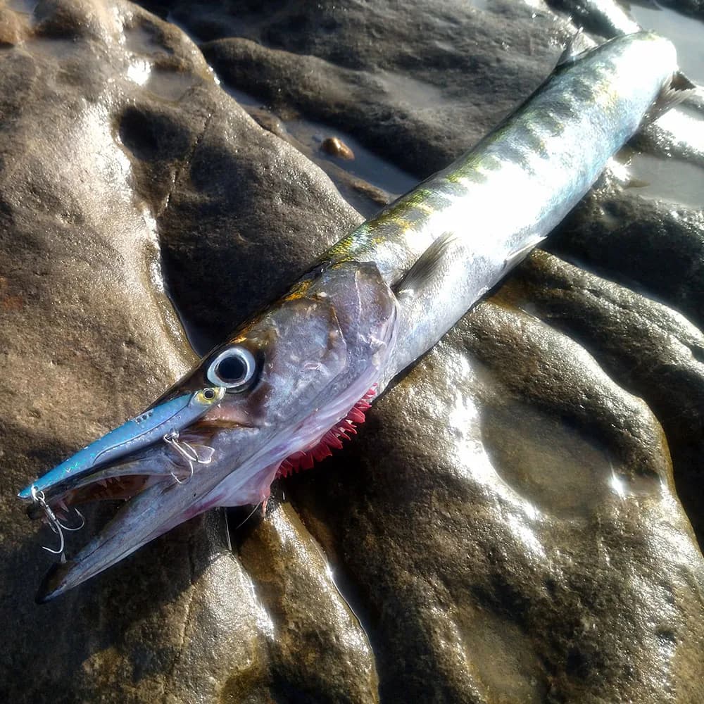 Leurre de pêche GOBAIT VIB 20g 30g : leurre métal vibration hameçon spinner cuiller pour carnassiers