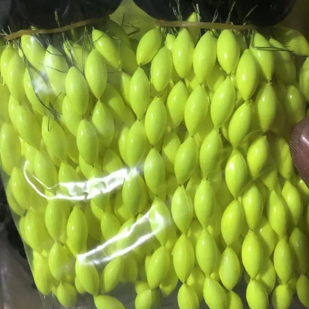 Flotteur coulissant EVA oval ressort pêche crappie silure perche dorée poisson-chat