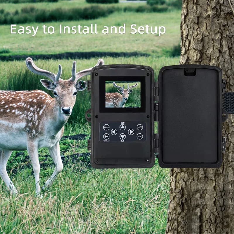 Caméra trail extérieure HD 24MP 2.7K - IR 940nm étanche vision nocturne pour surveillance wildlife