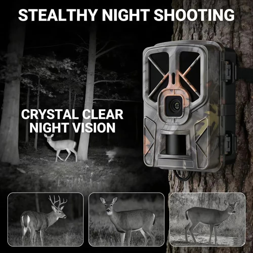 Caméra trail 4K 50MP infrarouge 940nm étanche IP66 avec écran pour observation chasse faune précise