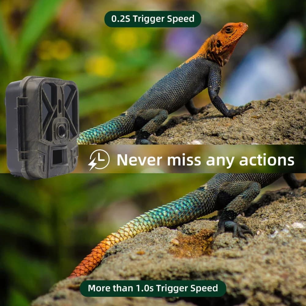 Caméra trappe outdoor 50MP 4K batterie 8000mAh étanche vision nocturne infrarouge piège gibier