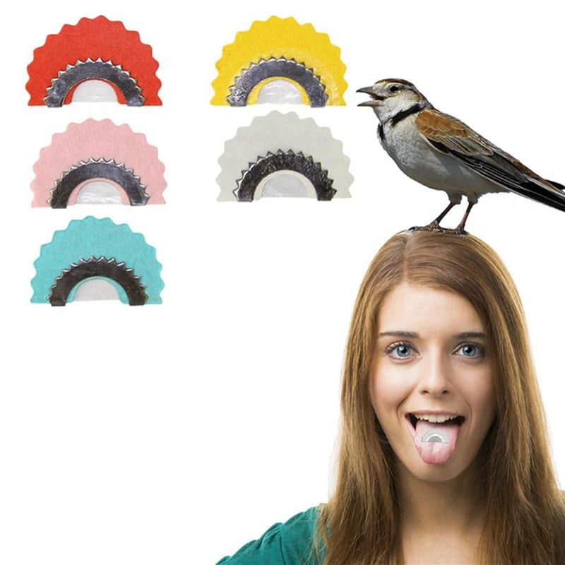 Lot 15 sifflets oiseaux créatifs, appeaux magiques produisant des sons aigus variés