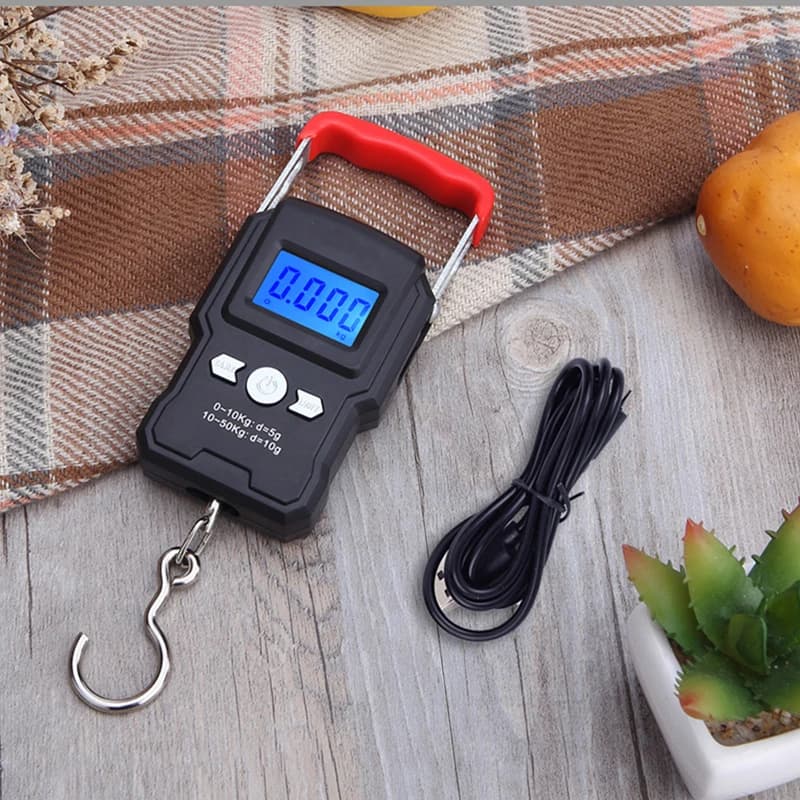 Mini balance digitale portable pêche - Balance électronique crochet poche voyage pesage bagages
