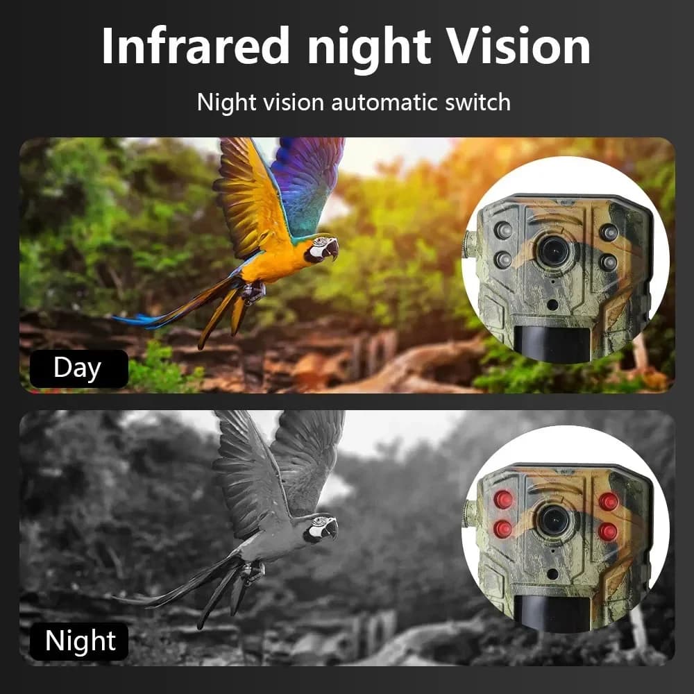 Caméra de chasse solaire étanche 4G 14MP détection PIR 20m vision nocturne 30m pour surveillance animalière autonome