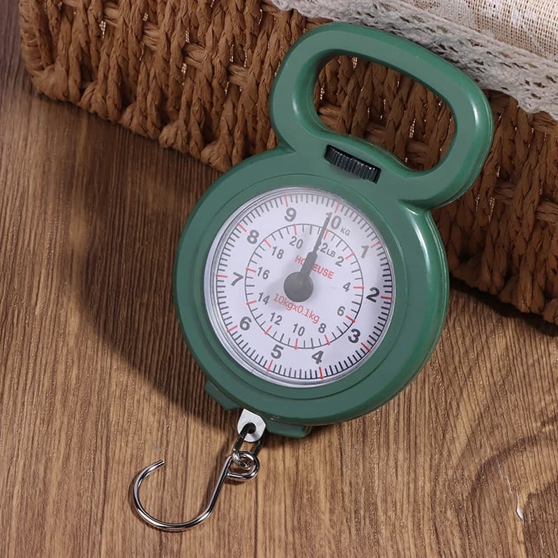 Balance digitale 10kg pour pêche et voyage - Pèse-bagages compact avec crochet à ressort précis