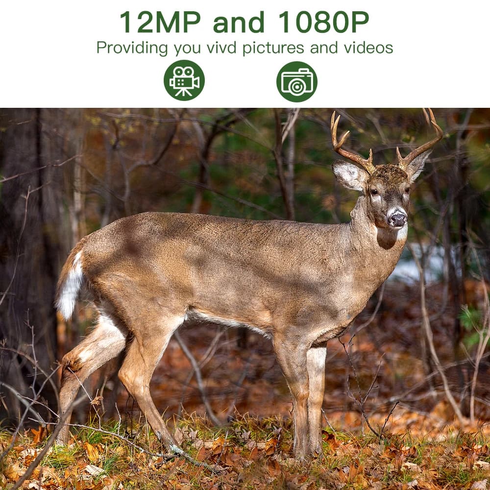 Caméra trail numérique 2G 12MP étanche MMS SMTP pour chasse surveillance faune et piégeage photo haute définition
