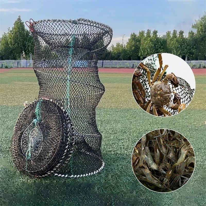 Piège à poissons pliable et portable pour écrevisses, crabes et crevettes, filet de pêche télescopique