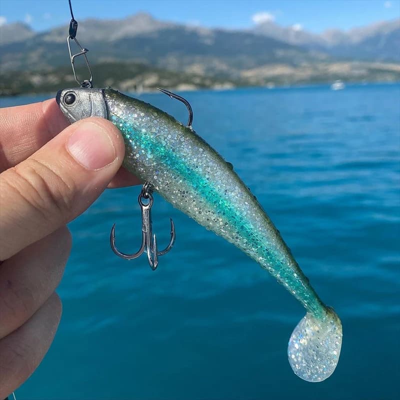 Leurre Souple NITRO SHAD 65 90 120 150 avec Tête Plombée pour le Bar, le Brochet