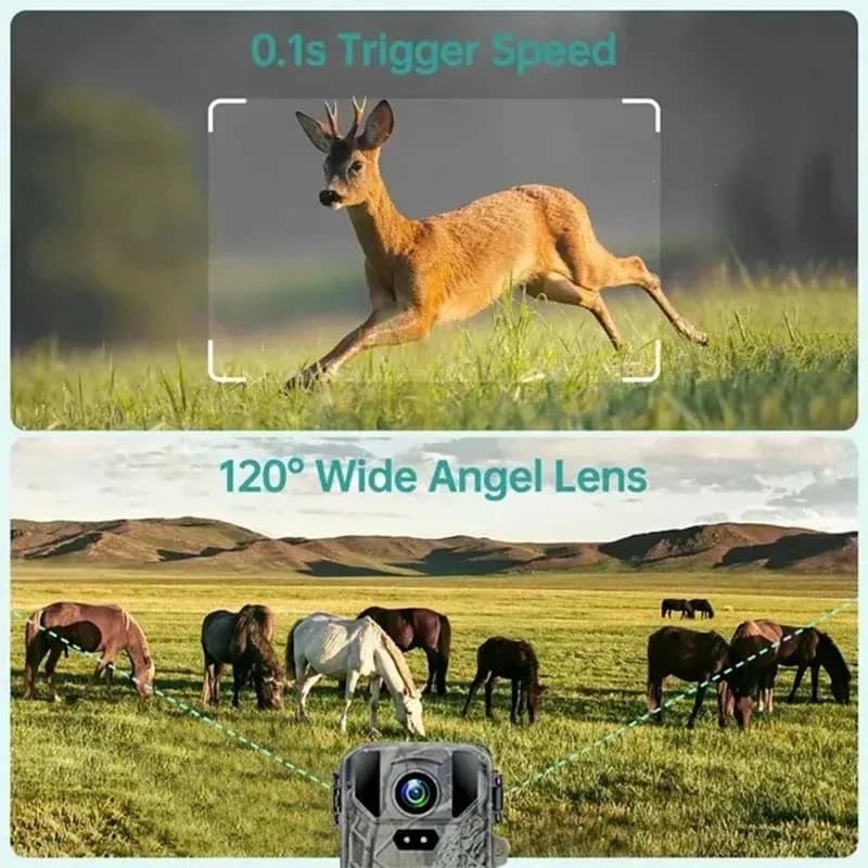 Caméra trail MiNi800 2.7K 50MP étanche IP65 vision nocturne pour repérage et chasse du gibier