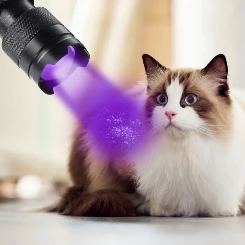 Lampe UV 365/395nm détecteur traces animaux fluorescents pour pêche et inspection nocturne