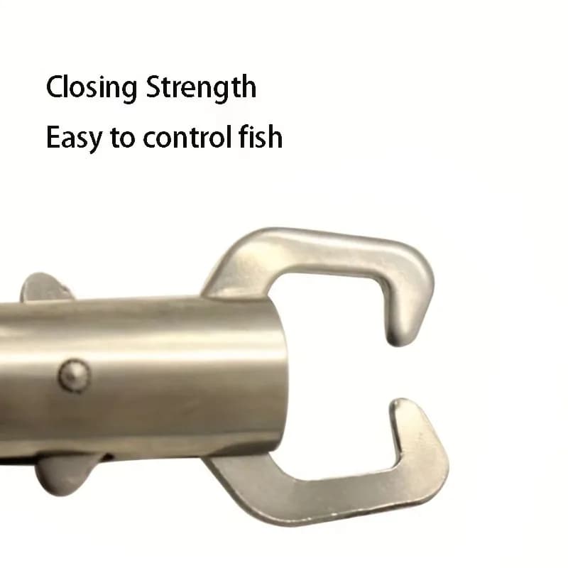 Combo 3-en-1 pêche : pinces à leurres, gripper poisson et balance - Acier inox résistant eau salée