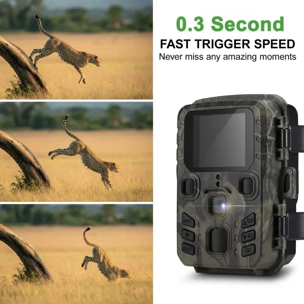 Caméra trappe 24MP vision nocturne infrarouge 0.3s étanche pour observation faune française