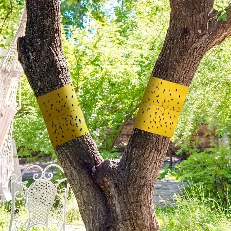 Ruban adhésif double face jaune anti-insectes 5m pour protéger équipement pêche et camping des nuisibles