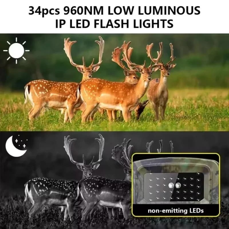Caméra sans fil 2.7K écran LCD IP66 étanche - Vision nocturne 940nm IR pour chasse extérieure