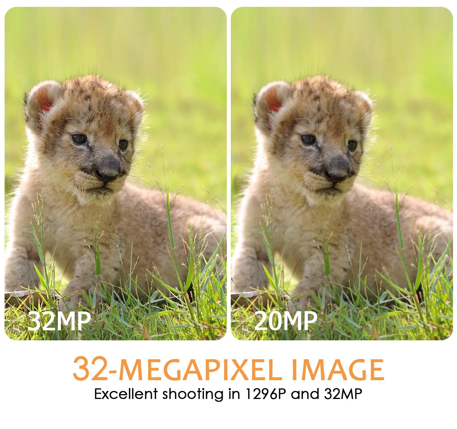Caméra de chasse privée 4K avec appli WiFi déclenchement 0.2s portée IR 30m étanche surveillance faune
