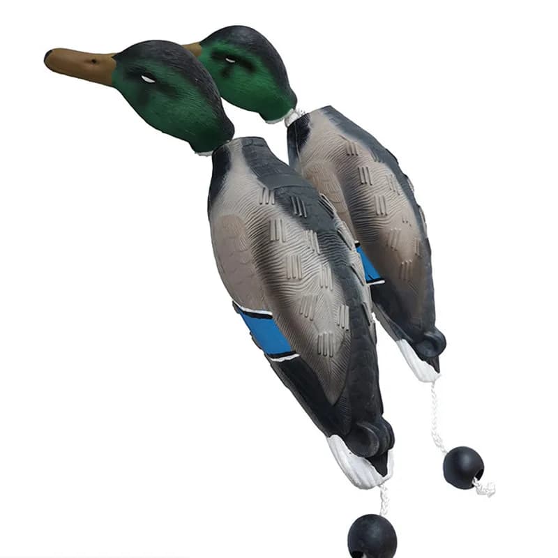Leurre canard EVA résistant pour chien de chasse - Canard leurre d'entraînement mâle tête verte