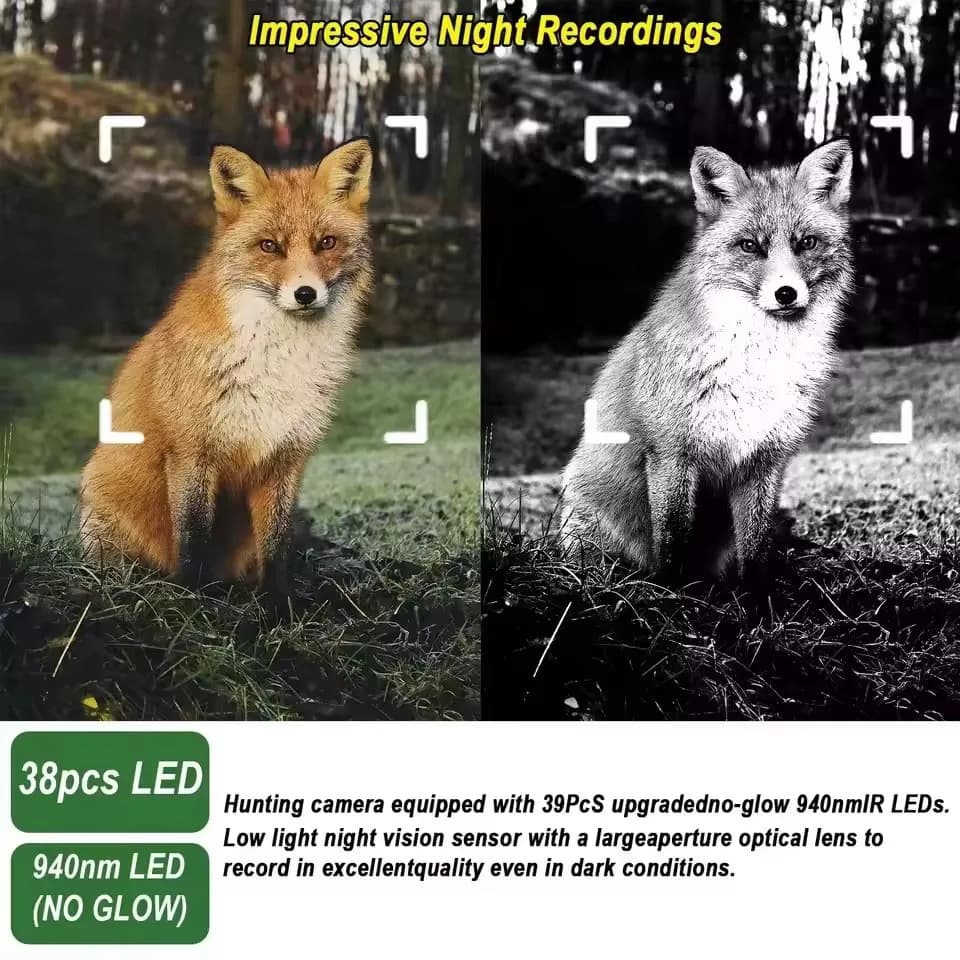 Caméra de chasse 16MP 1080P vision nocturne 940nm détection mouvement piège photo HD faune