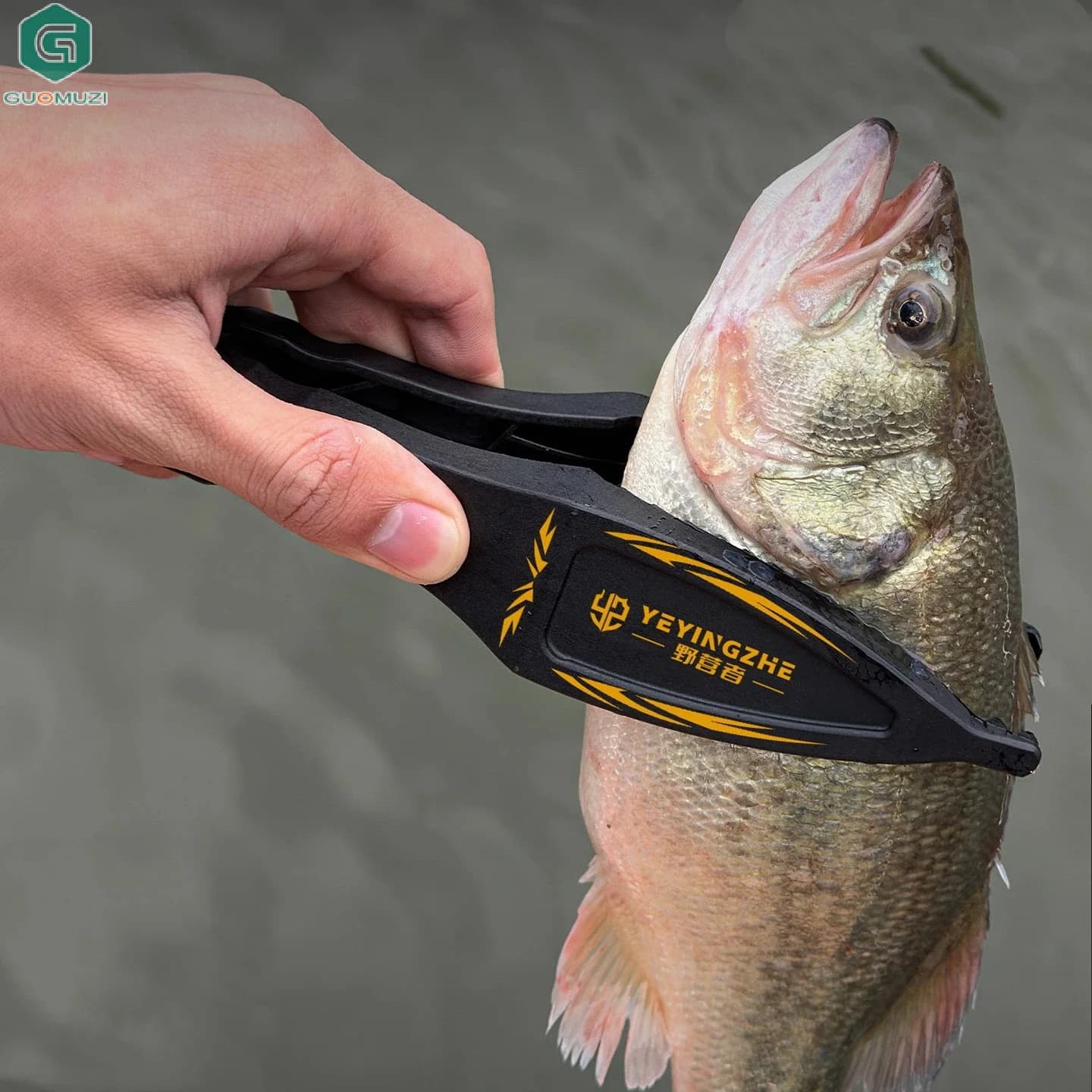 Pince flottante pêche avec balance et extracteur d'hameçon pour prise et pesée des poissons