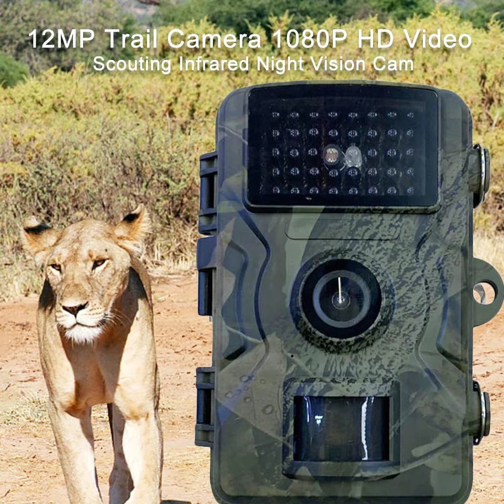 Caméra de chasse infrarouge à détection de mouvement vision nocturne pour observation animalière extérieure