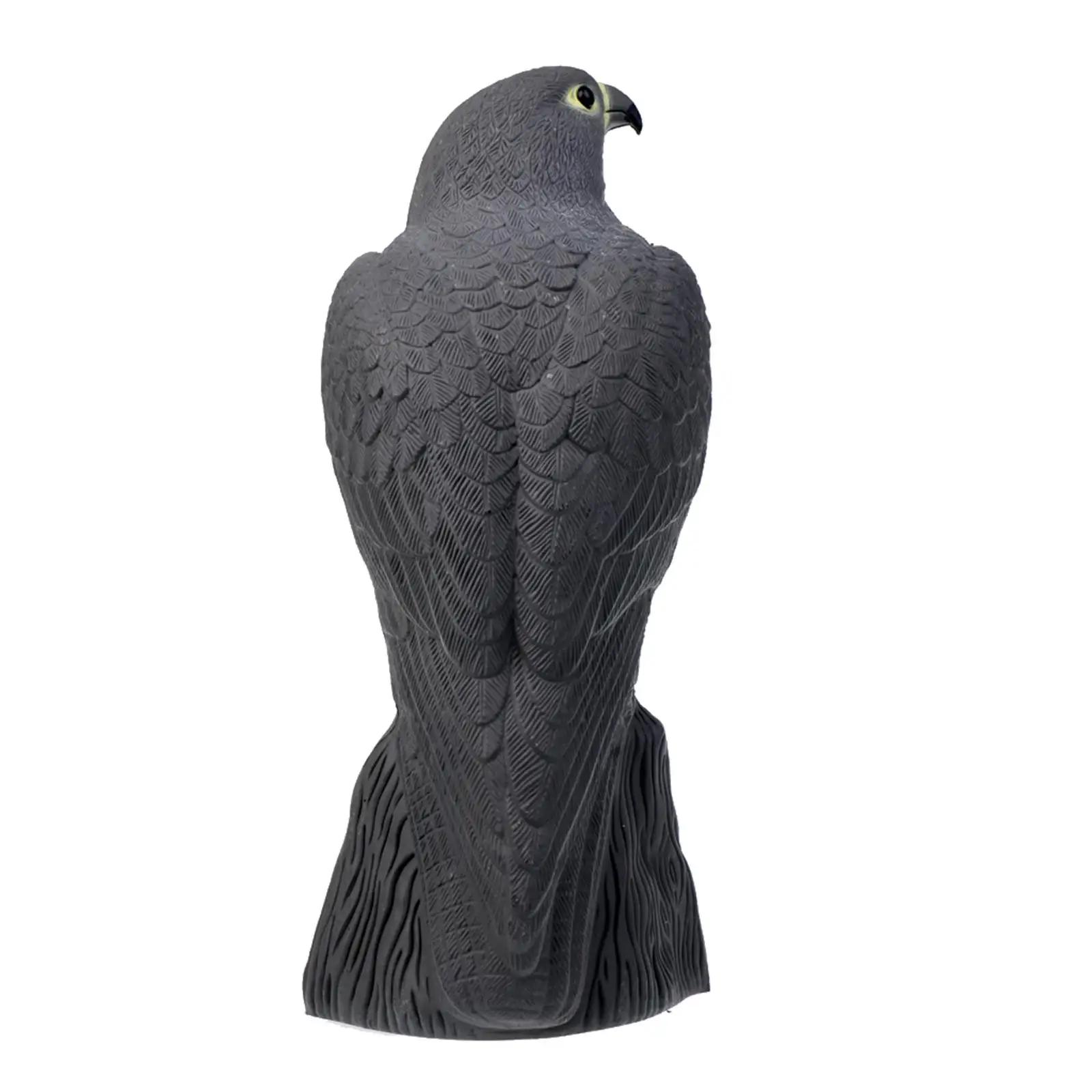 Leurre faucon tir oiseaux PE - Dispositif chasse protection faune pour effrayer pigeons corbeaux oies