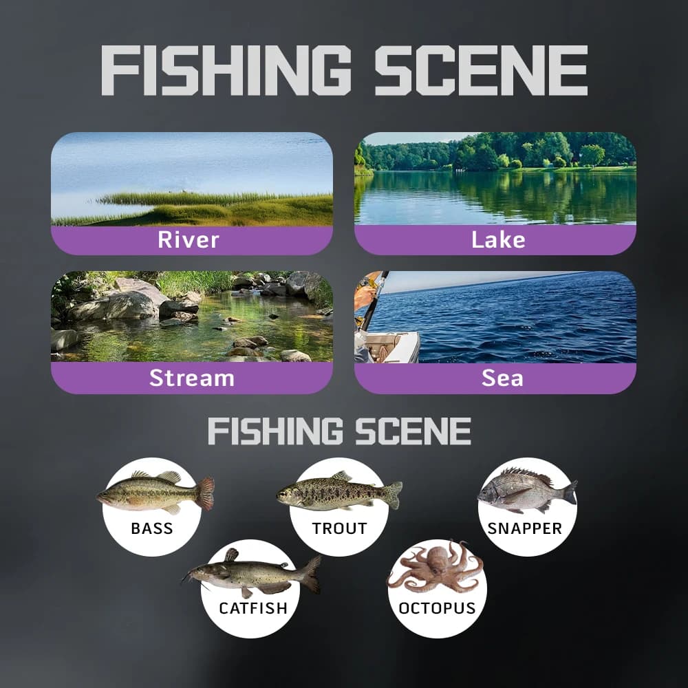 Moulinet baitcasting SOLOKING ACURA HICC50 Pro 10+1BB ultra-léger BFS pour pêche de la truite et du black bass