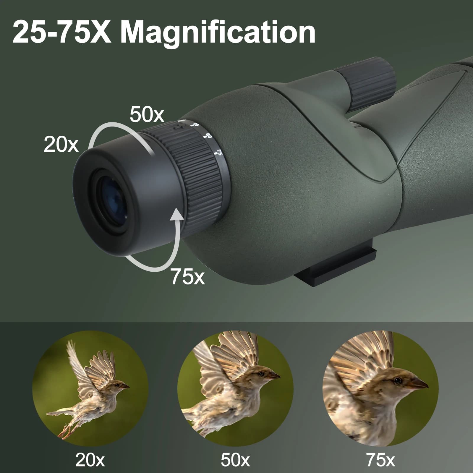 Longue-vue spotting scope 25-75x60 zoom puissant étanche observation oiseaux tir cible avec trépied