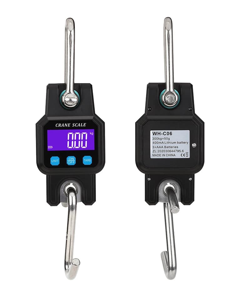 Balance électronique Bluetooth 300kg 50g - Pèse-brochet portable rechargeable